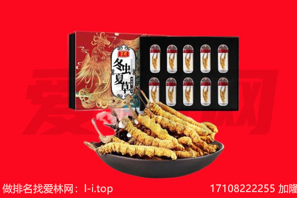 济南市回收虫草.jpg